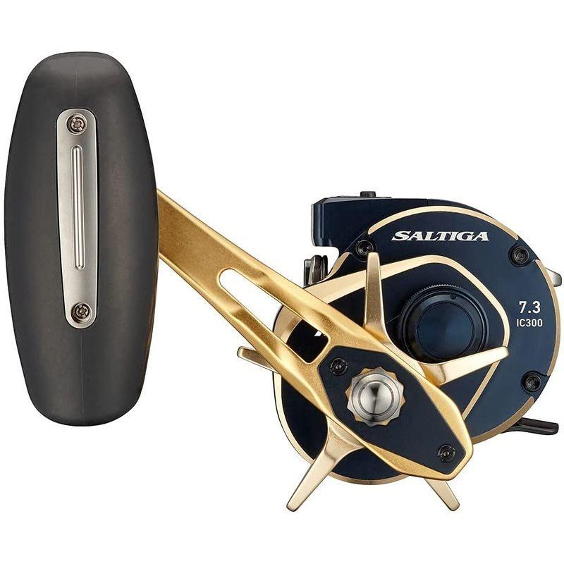 ダイワ(DAIWA) 21 ソルティガIC 300HL-SJ