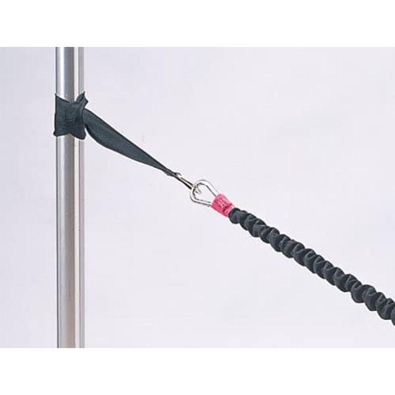 新入荷 NISHI(ニシ・スポーツ) アスリートチューブ ミディアムチューブタイプT7428A 【1978271785】(10612円)