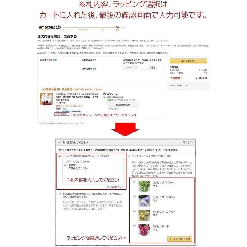 胡蝶蘭専門店はなやか 胡蝶蘭 白大輪 3本立ち 24輪以上 胡蝶蘭 白大輪 3本立ち 24輪以上 　