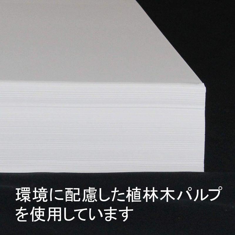 大王製紙 伝票用紙 A4 2分割ミシン入 4穴 2500枚 (500枚×5冊) JP10200166 - 2