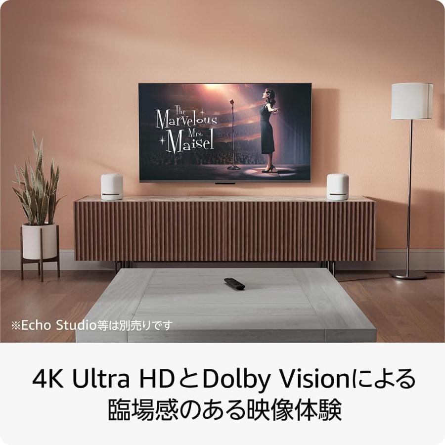 amazon（アマゾン） Amazon Fire TV Stick 4K 第2世代 : ライフ
