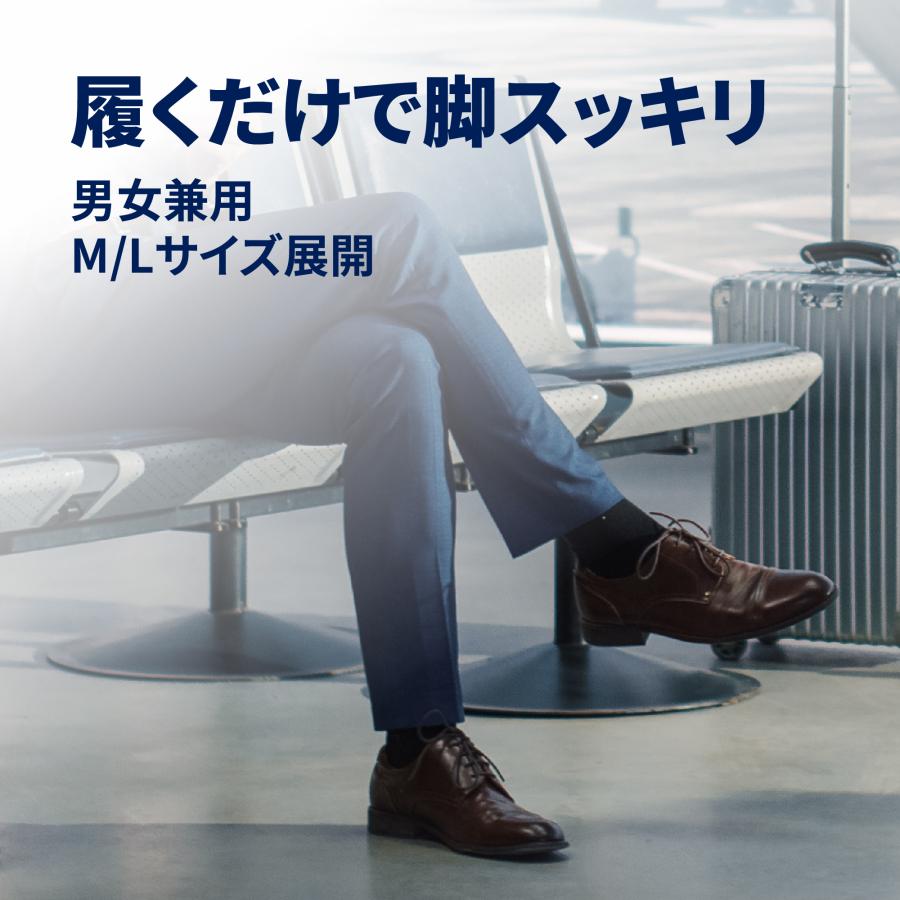 ドクターショール（Dr.Scholl） フライトソックス ナチュラル M L 2種