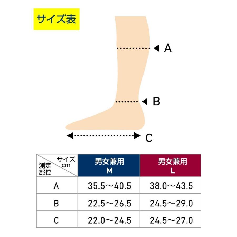 ドクターショール（Dr.Scholl） フライトソックス 在宅 テレワーク