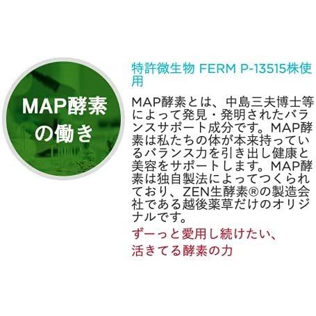 ゼンノア ZENNOA ZEN 生酵素 6g 15包入り 濃縮・練りタイプ MAP酵素 