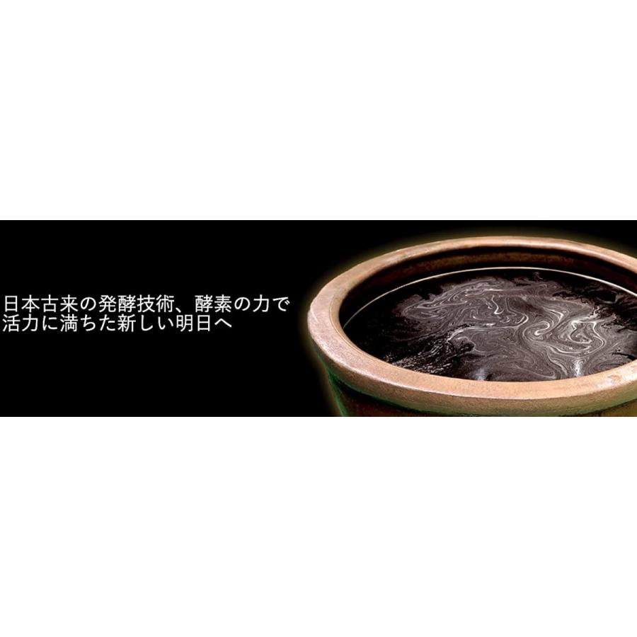 ゼンノア ZENNOA ZEN 生酵素 6g 15包入り 濃縮・練りタイプ MAP酵素