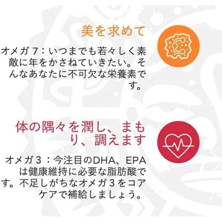ゼンノア  ZENNOA コアケア 90粒 オメガ 脂肪酸 含有 食品 70g 賞味期限2027/07の画像