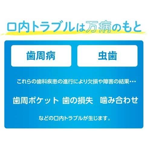 ゼンノア ZENNOA ステリオーラ 歯磨き粉 100g : ライフスタイルYahoo