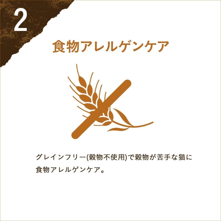 Nestle（ネスレ） ピュリナワン グレインフリー チキン 1.6kg（400g×4