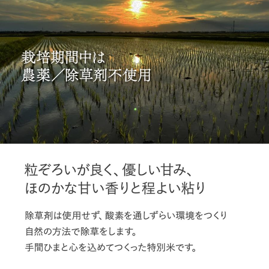 大分県産 米 夏ほのか 玄米 5kg 栽培期間農薬不使用 除草剤を使わない栽培 宗像農園_2