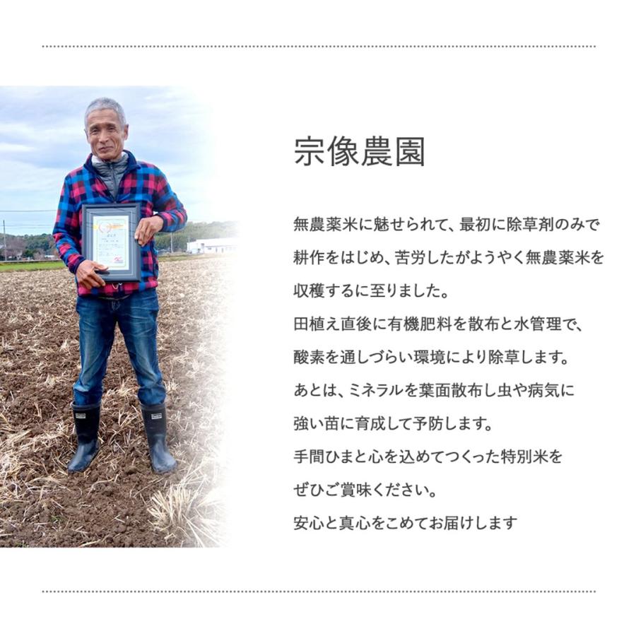 大分県産 米 夏ほのか 玄米 5kg 栽培期間農薬不使用 除草剤を使わない栽培 宗像農園_3