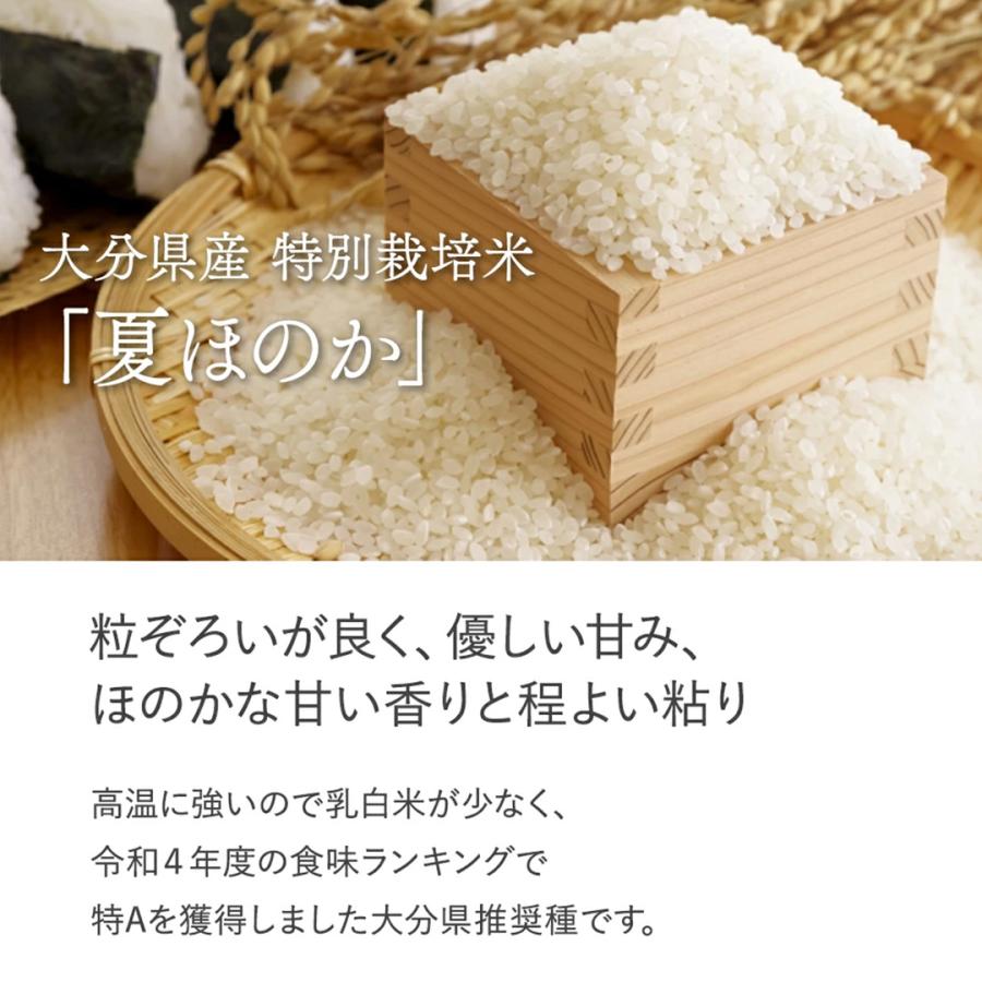 食品 大分県産なつほのか(新米玄米)