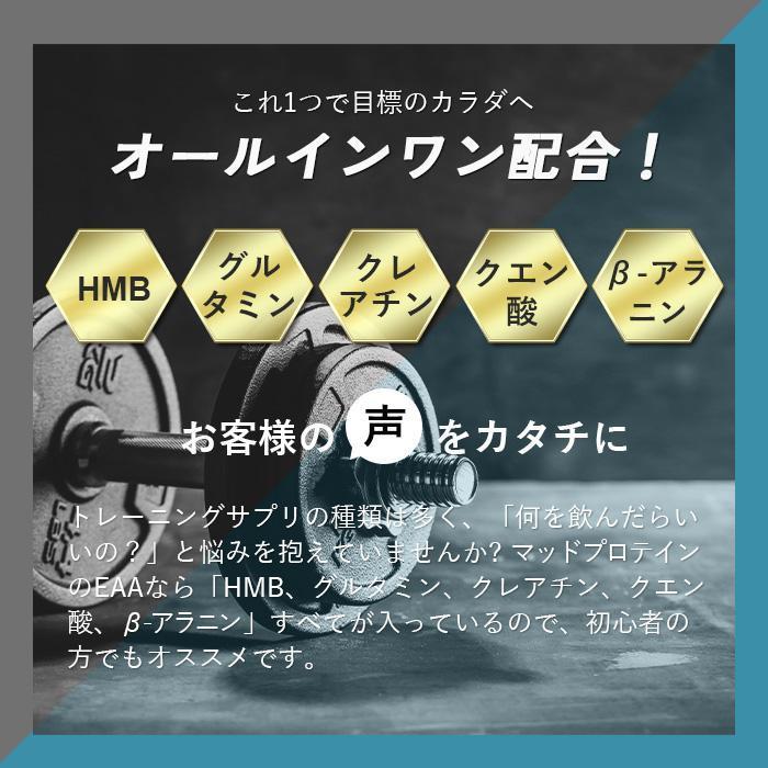 EAA お試し 10種類 フレーバー オールインワン 国内製造 EAA お試し 10種類 フレーバー オールインワン 国内製造