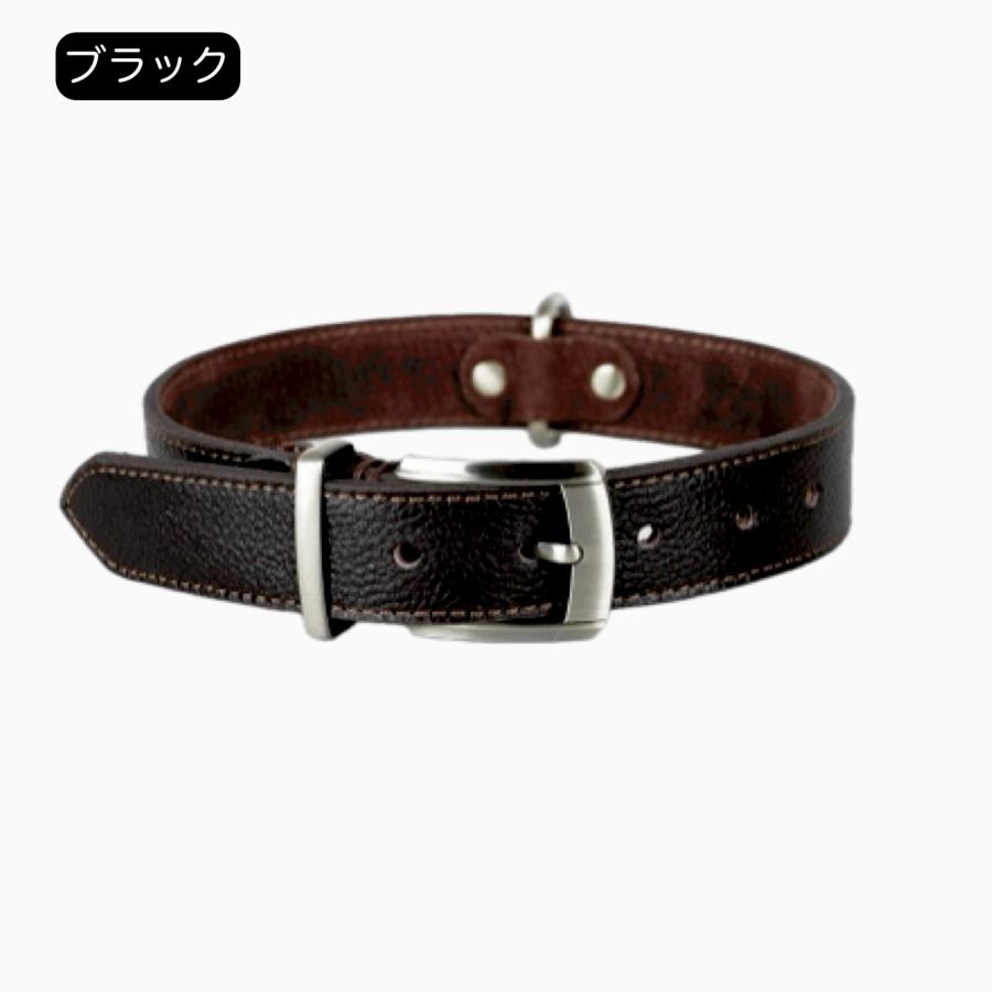 大型犬用本革首輪サイズL