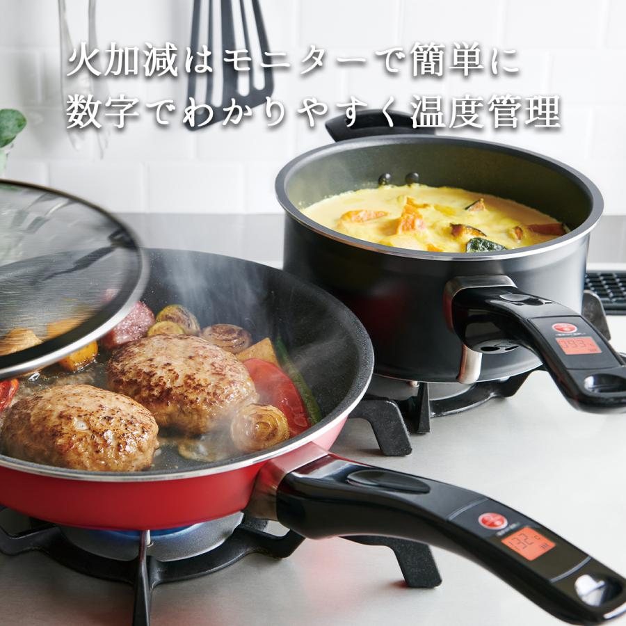 テンプパン フライパン ビタクラフト vitacraft ポット フライ