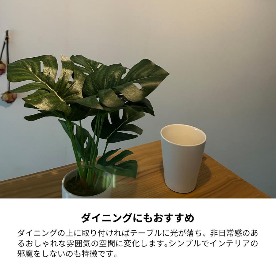 ARTWORKSTUDIO Eve シーリングライト コンパクト ダウンライト ARTWORKSTUDIO Eve シーリングライト コンパクト ダウンライト