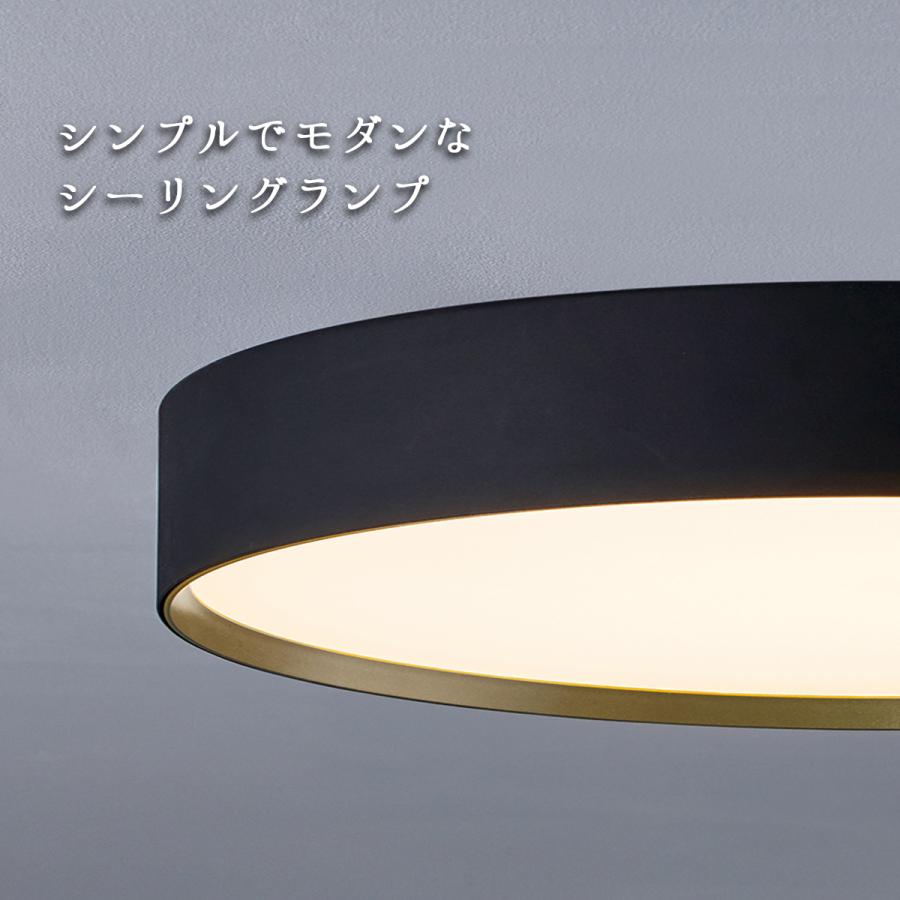 ARTWORKSTUDIO シーリングライト グロー Glow 室内灯 ライト 14 ARTWORKSTUDIO シーリングライト グロー Glow 室内灯 ライト 14