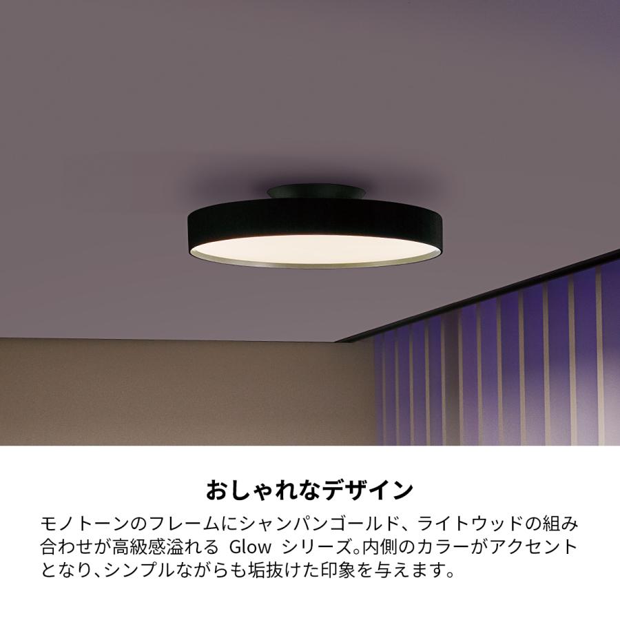 ARTWORKSTUDIO シーリングライト グロー Glow 室内灯 ライト 14 ARTWORKSTUDIO シーリングライト グロー Glow 室内灯 ライト 14