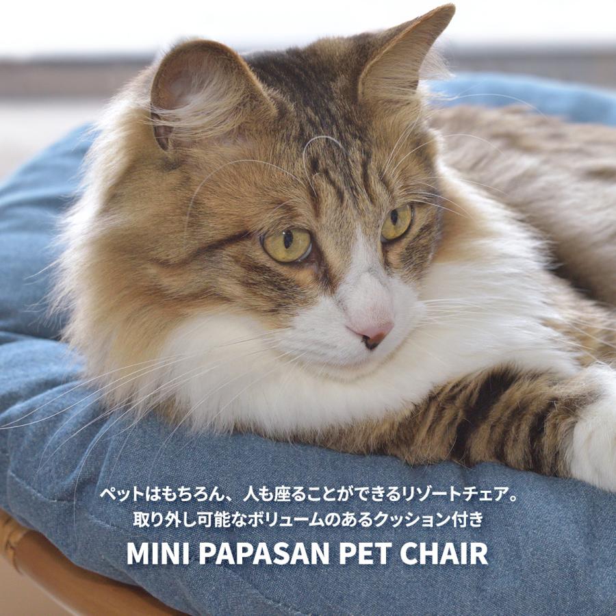 パパサンチェア ラタン ペットスツール ペット用 ペット用ベッド