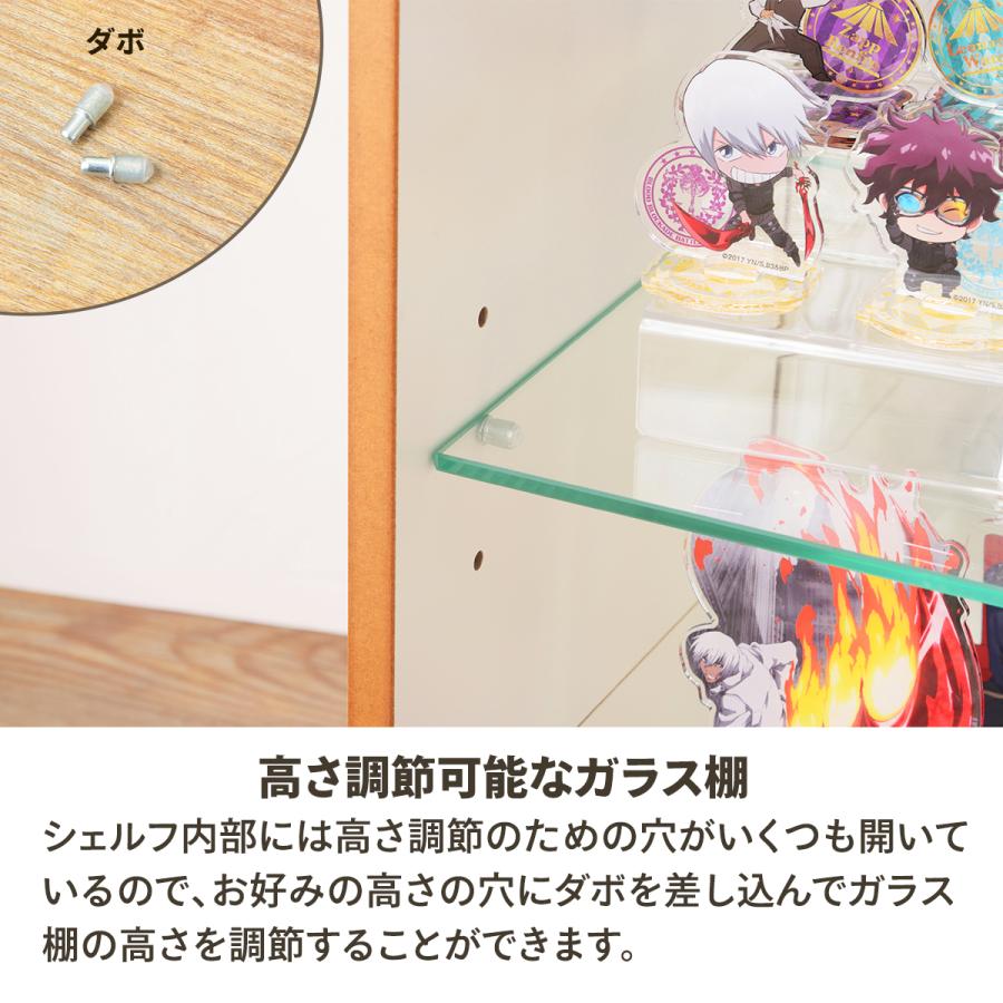 東谷 コレクションシェルフL コレクションボックス 推し活 東谷 コレクションシェルフL コレクションボックス 推し活