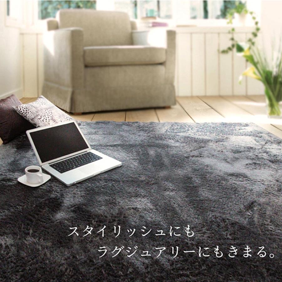 イケヒコ ラグ ラグマット 洗える おしゃれ カーペット 北欧 楕円 無地