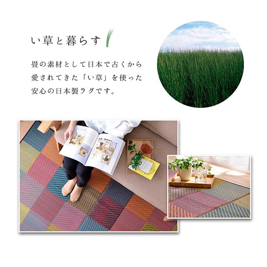 イケヒコ 191×250cm カラー3色 ラグ 国産 日本製 い草 抗菌防臭 自然