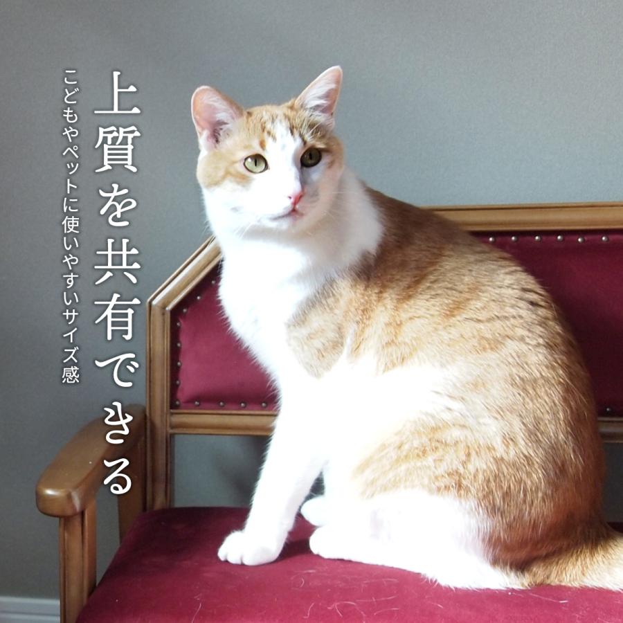 ソファ 子供用 キッズ ペット用ソファ ミニソファー 1人用 1Pソファ