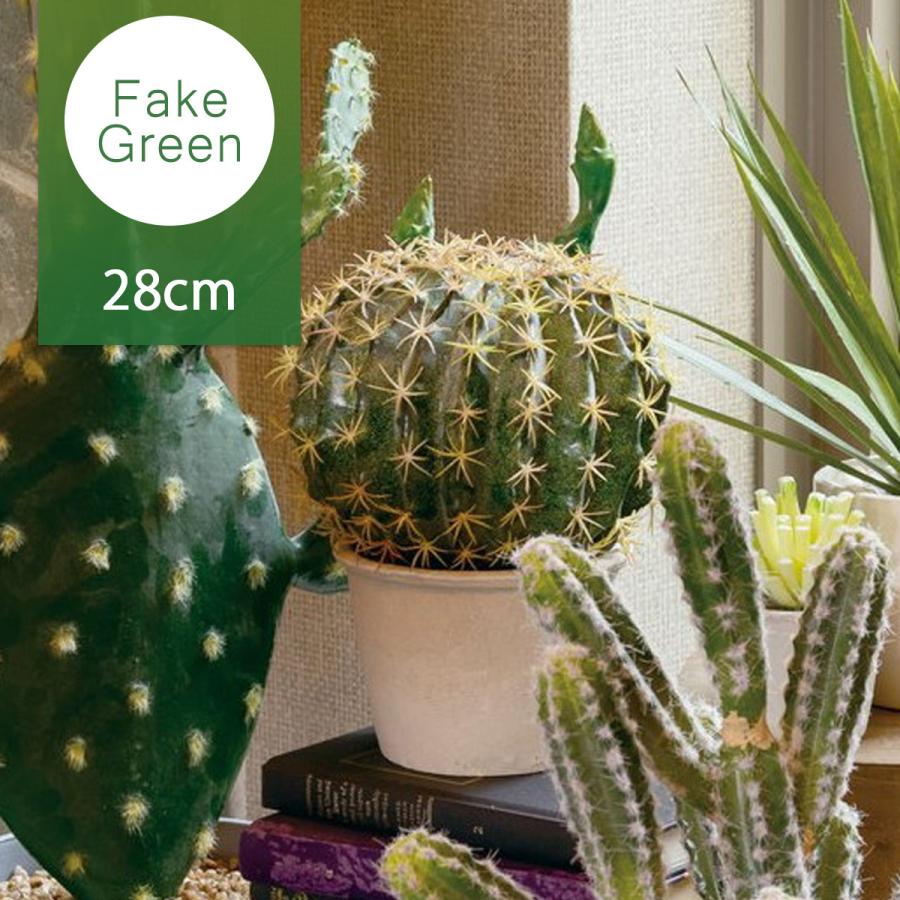 フェイクグリーン 人工観葉植物 ボールサボテンポット サボテン 造花 インテリア サボテン 多肉 多肉植物 葉っぱ 着後レビューでクーポン Pop Zak 0018 ライフスタイルショップfunfun 通販 Yahoo ショッピング