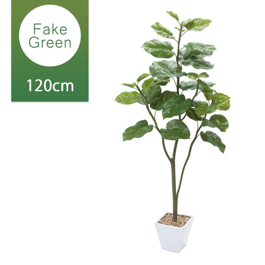 魅了 フェイクグリーン 人工観葉植物 ウンベラータ 造花 鉢 インテリア 葉っぱ ハート ナチュラル 飾り おしゃれ グリーン 着後レビューでクーポン Pop Zak 0022 ライフスタイルショップfunfun 通販 Yahoo ショッピング 55 以上節約 Web Escgroup Com
