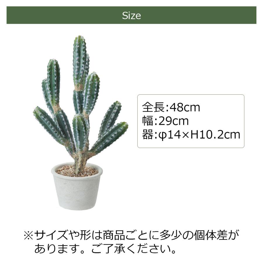 フェイクグリーン 人工観葉植物 カクタスポット 多肉 多肉植物 サボテン 造花 インテリア 葉っぱ ナチュラル 飾り 着後レビューでクーポン Pop Zak 0024 ライフスタイルショップfunfun 通販 Yahoo ショッピング