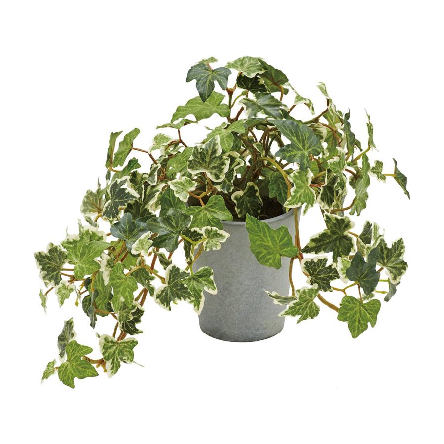 フェイクグリーン 人工観葉植物 イングリッシュアイビーポット 造花 インテリア 葉っぱ ナチュラル 飾り おしゃれ 着後レビューでクーポン Pop Zak 0034 ライフスタイルショップfunfun 通販 Yahoo ショッピング