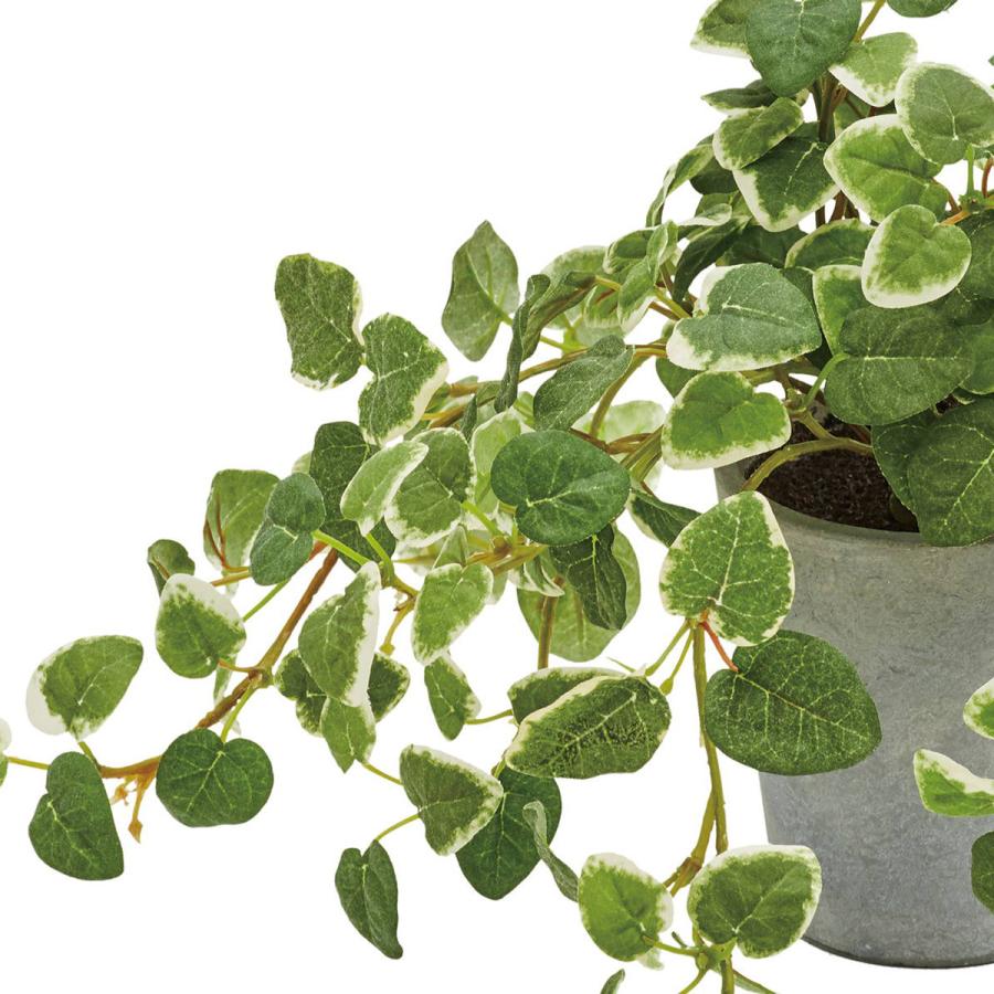 フェイクグリーン 人工観葉植物 プミラポット プミラ 造花 インテリア 葉っぱ ナチュラル 飾り おしゃれ グリーン 緑 着後レビューでクーポン Pop Zak 0035 ライフスタイルショップfunfun 通販 Yahoo ショッピング