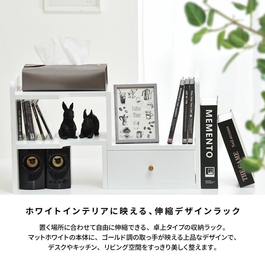 デスクラック スパイスラック D-form 卓上伸縮ラック 小物収納