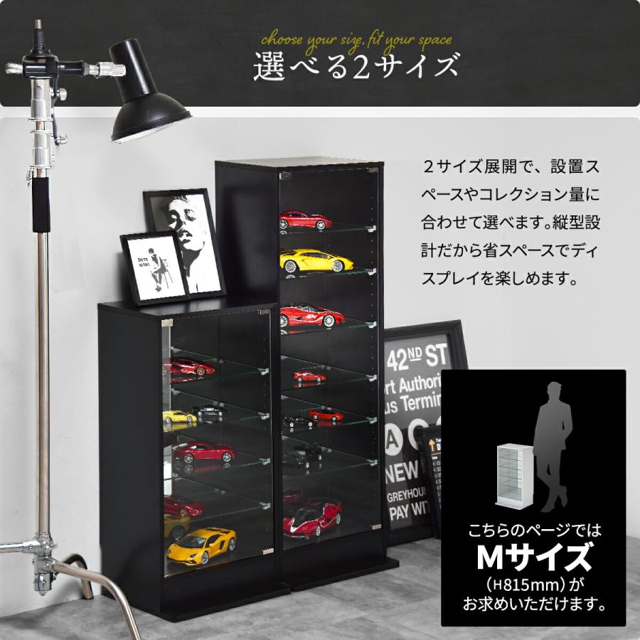 コレクションケース ガラスケース 背面ミラー付き 幅43 高さ81.5 奥行