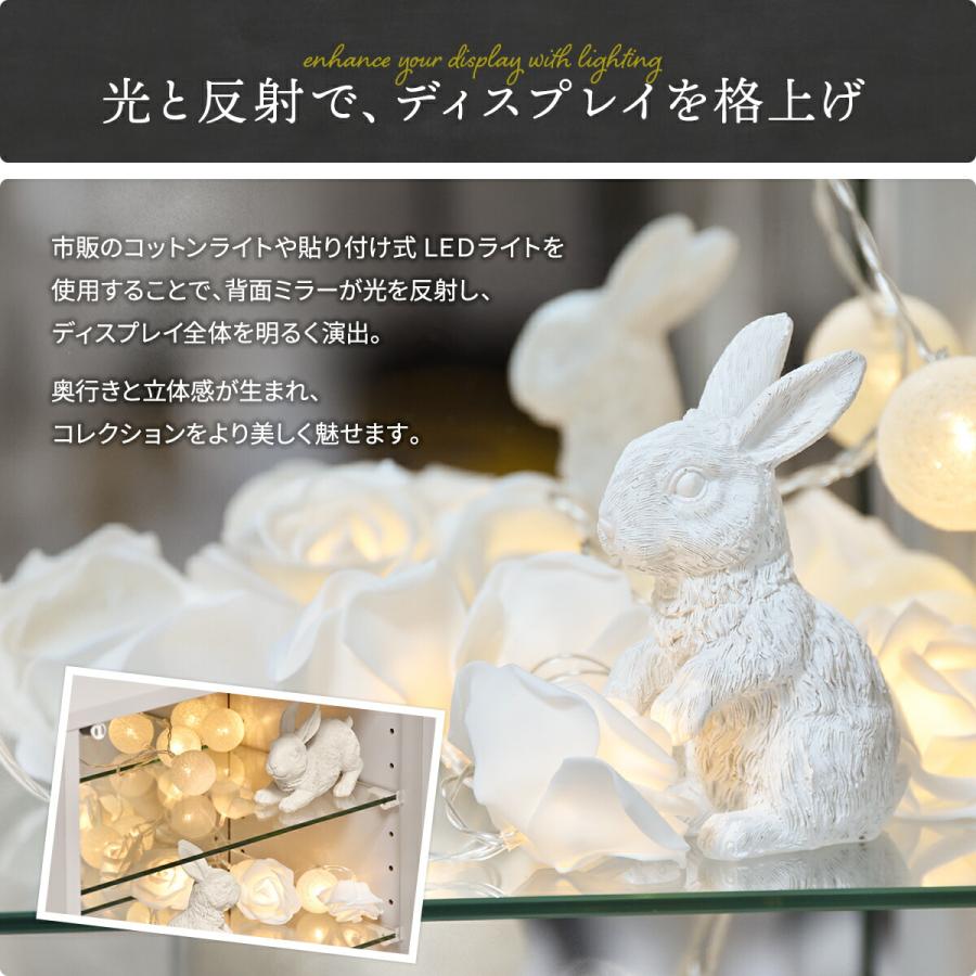 コレクションケース ガラスケース 背面ミラー付き 幅43 高さ120.5 奥行