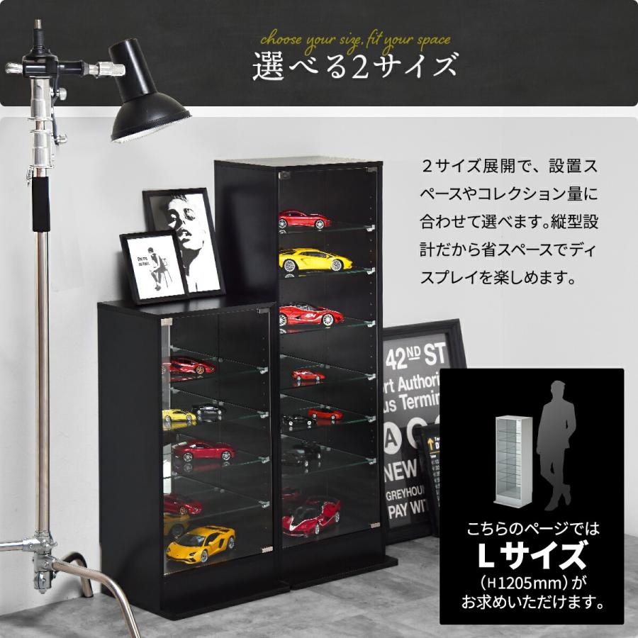 コレクションケース ガラスケース 背面ミラー付き 幅43 高さ120.5 奥行