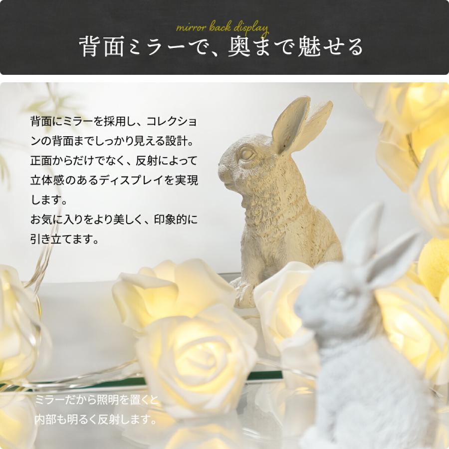 コレクションケース ガラスケース 背面ミラー付き 幅43 高さ120.5 奥行