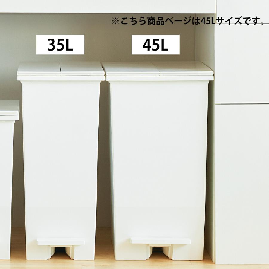 SOLOW ゴミ箱 45L 2個セット 分別ごみ箱 ソロウ 日本製 大容量 ごみ箱