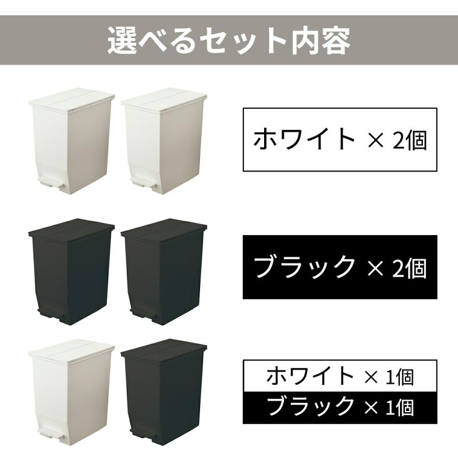 SOLOW ゴミ箱 45L 2個セット 分別ごみ箱 ソロウ 日本製 大容量 ごみ箱
