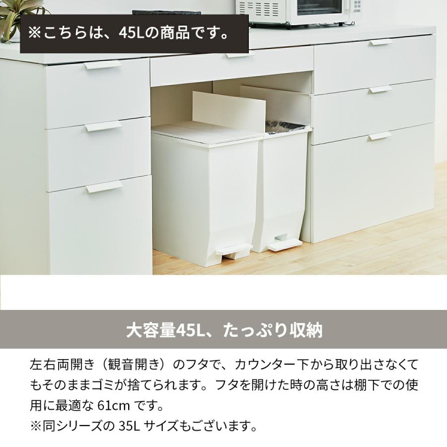 SOLOW ゴミ箱 45L 2個セット 分別ごみ箱 ソロウ 日本製 大容量 ごみ箱