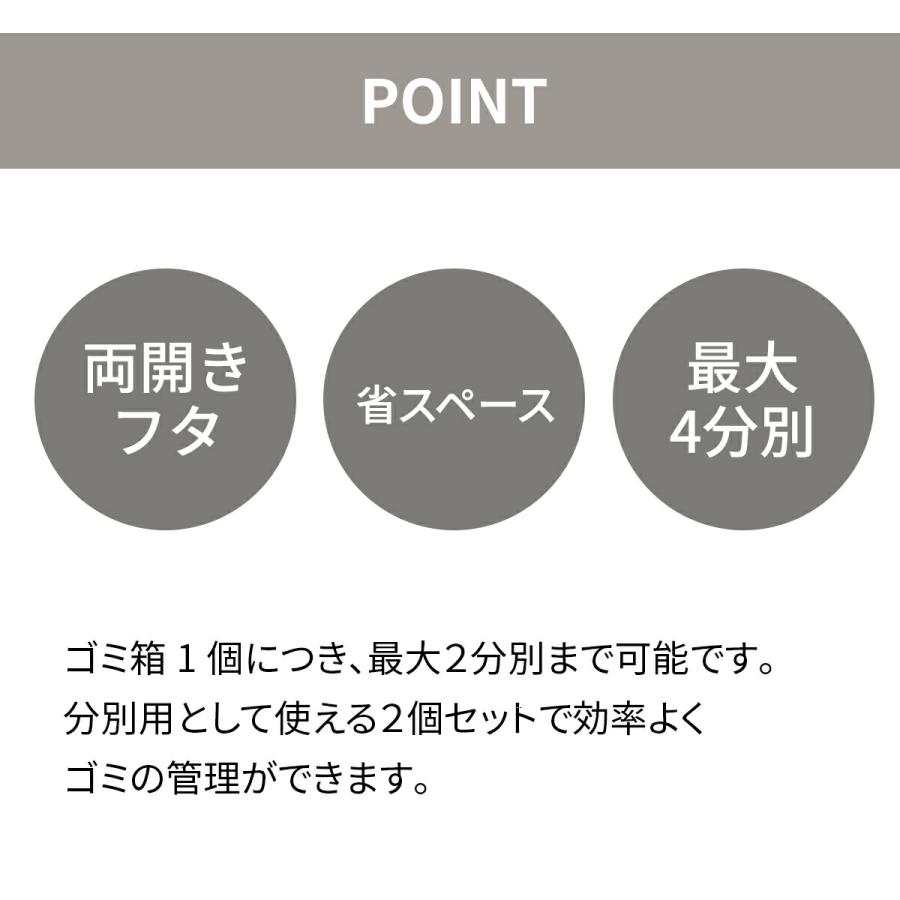 SOLOW ゴミ箱 45L 2個セット 分別ごみ箱 ソロウ 日本製 大容量 ごみ箱