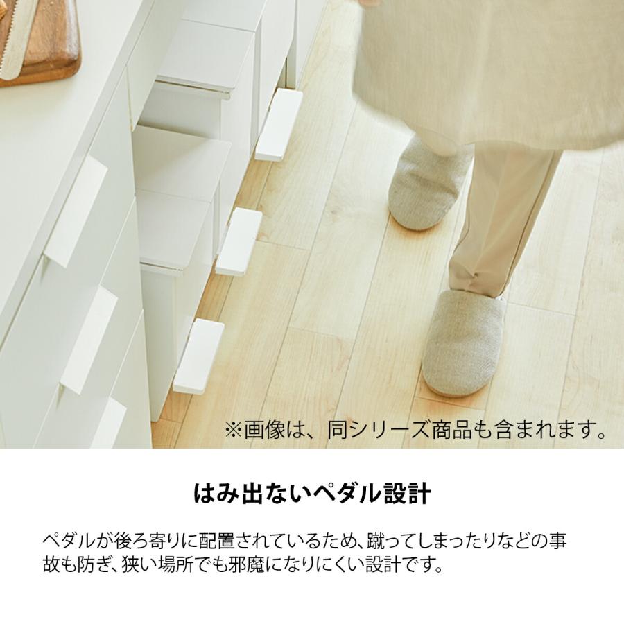 SOLOW ゴミ箱 45L 2個セット 分別ごみ箱 ソロウ 日本製 大容量 ごみ箱