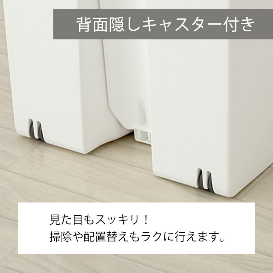 SOLOW ゴミ箱 45L 2個セット 分別ごみ箱 ソロウ 日本製 大容量 ごみ箱
