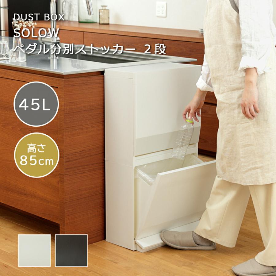 【値下げ可】ゴミ箱 45L 分別 2連 収納付き SOLOW ゴミ箱 分別 2段 45L 日本製 ペダル式 フラップ扉 おしゃれ