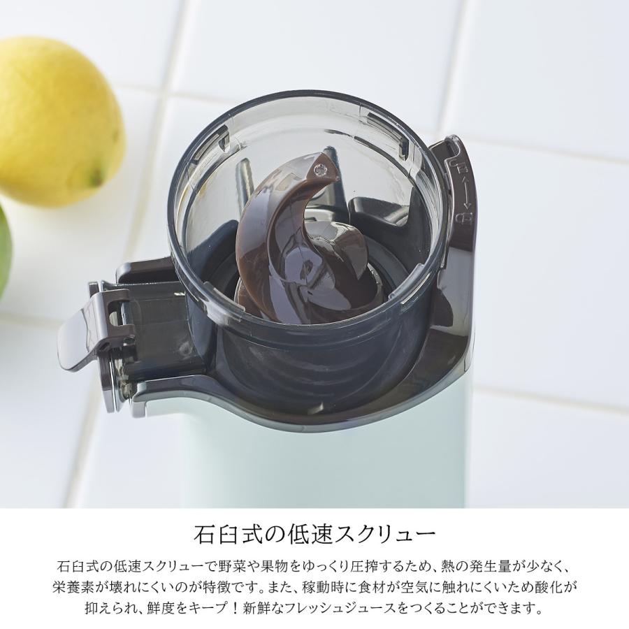 Toffy トフィー ミニスロージューサー グリーンスムージー