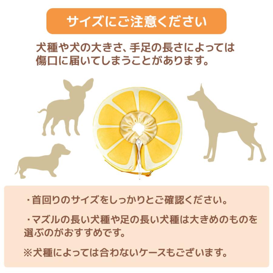 エリザベスカラー 猫 犬 カラー 犬用 猫用 エリザベス 手術 手術着