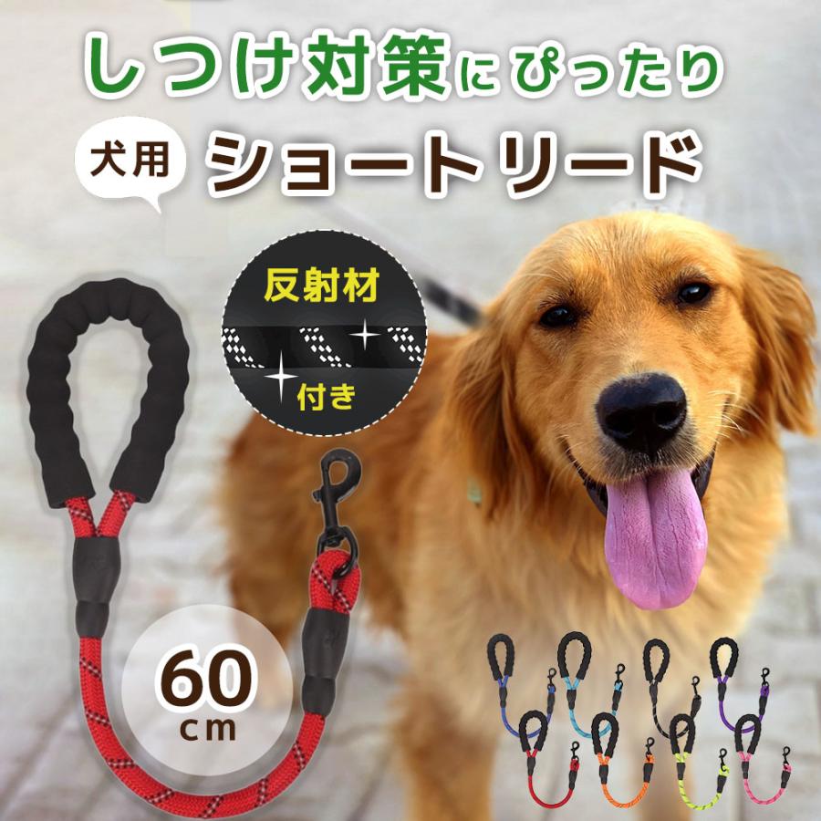 ショートリード　中型犬　～20kg 60㎝　引っ張り癖　安心ロック付き　しつけ 犬 リード しつけ ショートリード 犬用 訓練 引っ張り対策 犬のリード