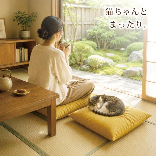 専用✩.*˚座布団 軽量 天然素材 編み込み 座布団 はっ水 防汚 5枚組 55×59 無地 日本 伝統 おしゃれ 銘仙判