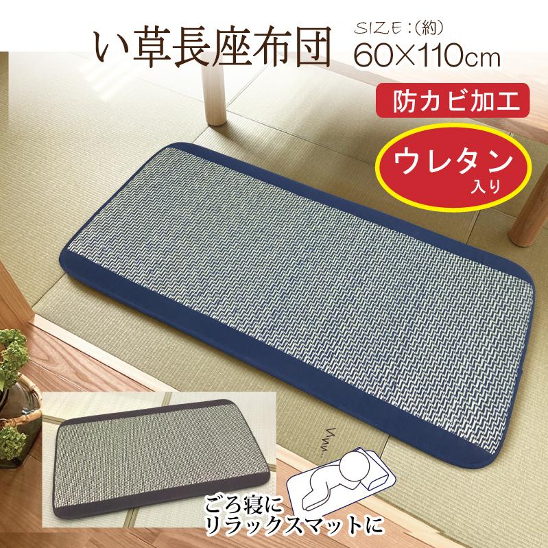 い草 座布団 クッション 60×110 長方形 おしゃれ 昼寝 ごろ寝 ロング