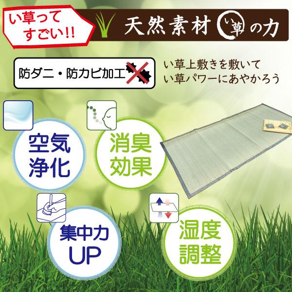 い草 ラグ ござ 上敷き 上敷 1帖 2帖 3帖 4.5帖 6帖 8帖 江戸間 88×176