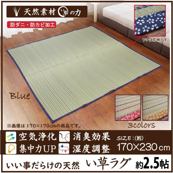 い草 カーペット ラグ 2畳 二畳 3帖　3畳　 裏　不織布　い草ラグ 170×230cm レイヤー｜lifestyleplus